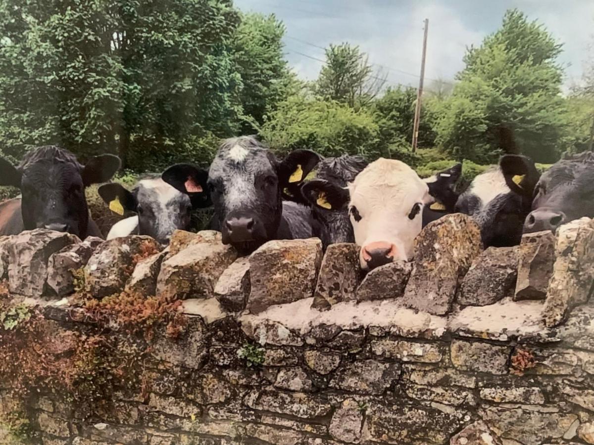 The Milking Sheds Daire Tytherington  Dış mekan fotoğraf